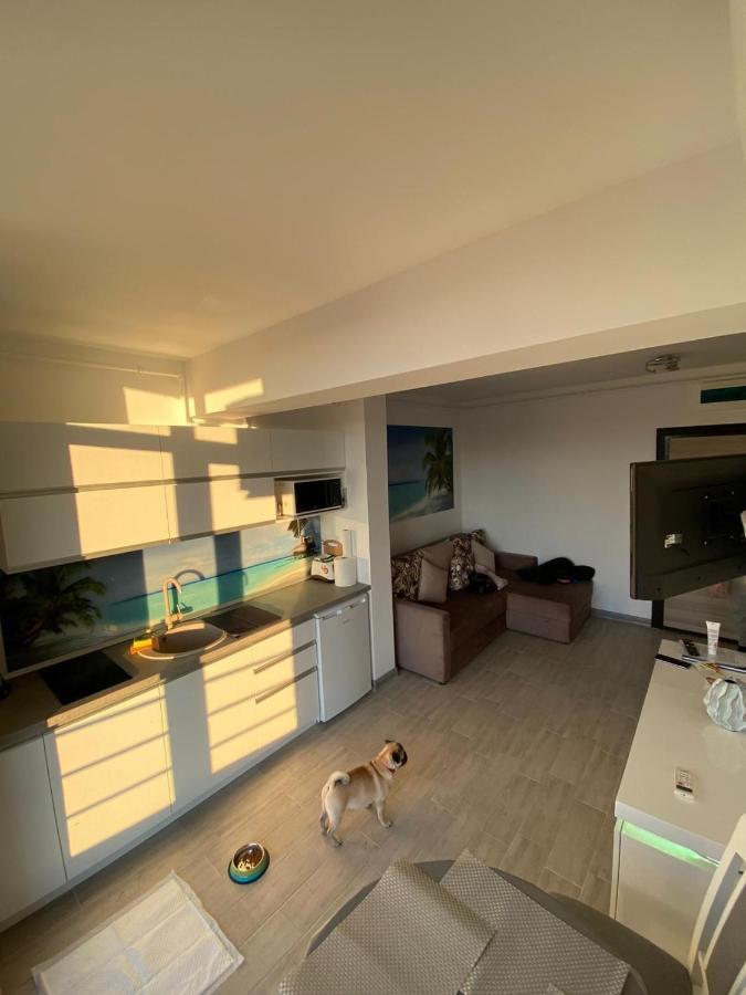 Apartament Edu Beach Resort Năvodari Exteriör bild